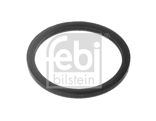 Ferdinand Bilstein GmbH + Co KG Tesnenie termostatu